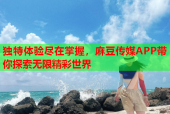 独特体验尽在掌握，麻豆传媒APP带你探索无限精彩世界