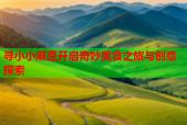 寻小小麻豆开启奇妙美食之旅与创意探索