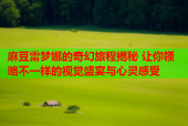麻豆雷梦娜的奇幻旅程揭秘 让你领略不一样的视觉盛宴与心灵感受