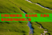引领影视新潮流：果冻传媒、天美传媒与麻豆传的创新之路