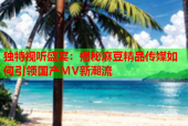 独特视听盛宴：揭秘麻豆精品传媒如何引领国产MV新潮流