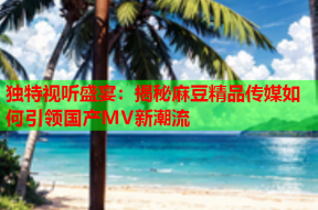 独特视听盛宴：揭秘麻豆精品传媒如何引领国产MV新潮流