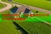 探索麻豆网站：尽享原声中文AV精彩内容与独特剧情