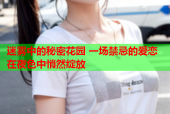 迷雾中的秘密花园 一场禁忌的爱恋在夜色中悄然绽放