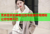 芝麻豆浆的神奇功效与健康作用揭秘让你惊艳不已