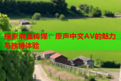 探索麻豆传媒：原声中文AV的魅力与独特体验