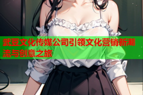 武豆文化传媒公司引领文化营销新潮流与创意之旅