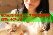 果冻传媒精选麻豆二区带你领略视听盛宴的全新体验