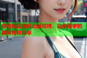 香嫩麻豆腐炒出新花样，简单易学的美味秘籍分享