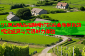 91麻豆精品视频带你探索全新视角的视觉盛宴与无限魅力体验