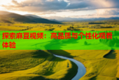探索麻豆视频：高品质与个性化观看体验