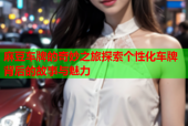 麻豆车牌的奇妙之旅探索个性化车牌背后的故事与魅力