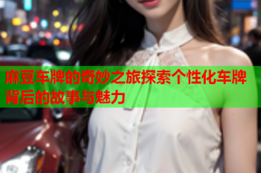 麻豆车牌的奇妙之旅探索个性化车牌背后的故事与魅力