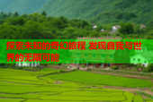 探索未知的奇幻旅程 发现自我与世界的无限可能