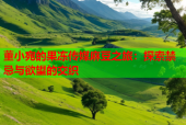 董小宛的果冻传媒麻豆之旅：探索禁忌与欲望的交织