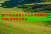 国产麻豆视界新篇章探索独特魅力与无限可能的视觉盛宴