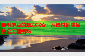 自制麻豆的魅力探索：从选材到成品的全流程揭秘
