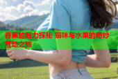 香蕉的魅力探秘 猫咪与水果的奇妙互动之旅