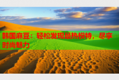韩国麻豆：轻松发现最热模特，尽享时尚魅力