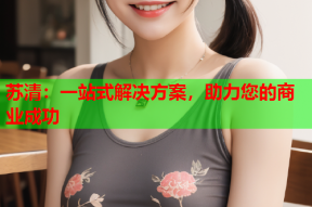 苏清：一站式解决方案，助力您的商业成功