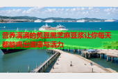 营养满满的黄豆黑芝麻豆浆让你每天都能喝出健康与活力