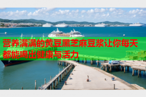 营养满满的黄豆黑芝麻豆浆让你每天都能喝出健康与活力