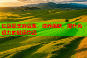 红豆黑芝麻豆浆：滋养美肤，提升免疫力的健康饮品