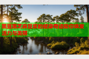 黑豆黑芝麻豆浆的健康奇迹助你焕发活力与美丽