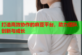 打造高效协作的麻豆平台，助力团队创新与成长