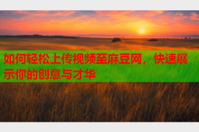 如何轻松上传视频至麻豆网，快速展示你的创意与才华