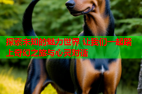 探索未知的魅力世界 让我们一起踏上奇幻之旅与心灵对话