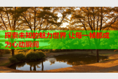探索未知的魅力世界 让每一帧都成为心动瞬间
