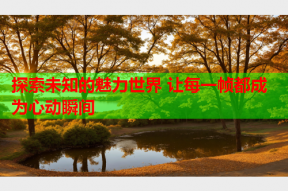探索未知的魅力世界 让每一帧都成为心动瞬间