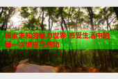 探索未知的魅力世界 感受生活中的每一次惊喜与感动