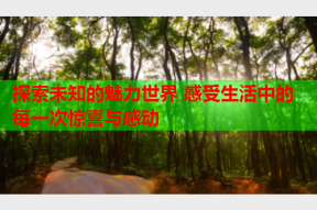 探索未知的魅力世界 感受生活中的每一次惊喜与感动