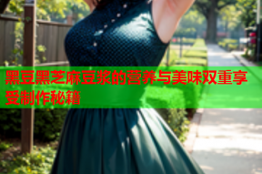 黑豆黑芝麻豆浆的营养与美味双重享受制作秘籍