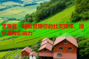 芝麻豆：轻松管理你的社交媒体，提升品牌影响力