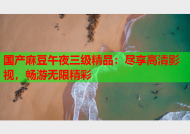国产麻豆午夜三级精品：尽享高清影视，畅游无限精彩