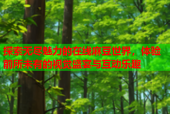 探索无尽魅力的在线麻豆世界，体验前所未有的视觉盛宴与互动乐趣