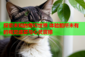 探索未知的奇幻世界 体验前所未有的视觉盛宴与心灵震撼
