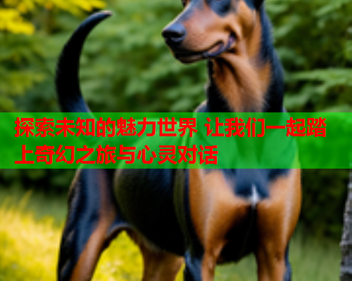探索未知的魅力世界 让我们一起踏上奇幻之旅与心灵对话  第1张