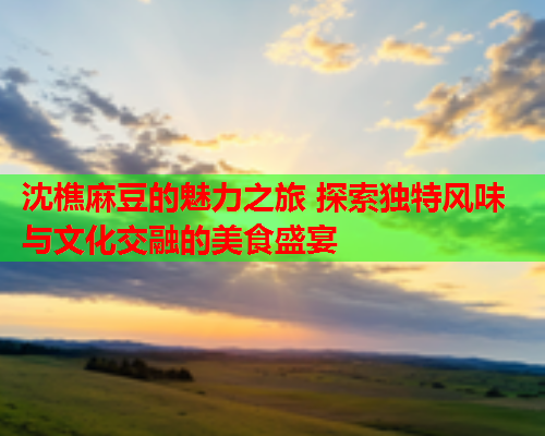 沈樵麻豆的魅力之旅 探索独特风味与文化交融的美食盛宴  第2张