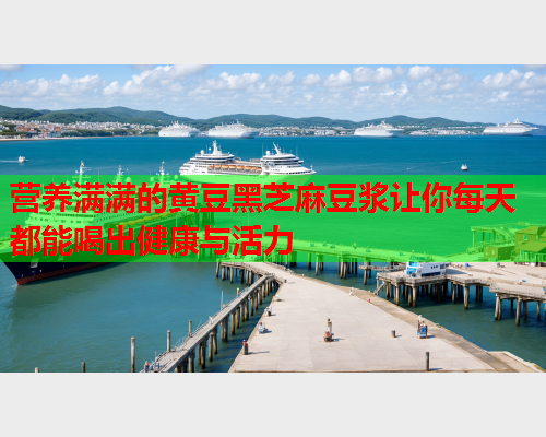 营养满满的黄豆黑芝麻豆浆让你每天都能喝出健康与活力  第1张