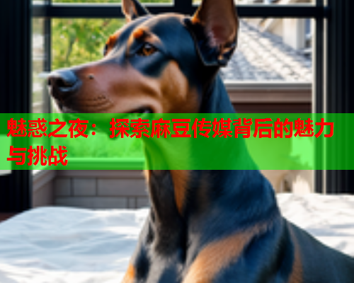 魅惑之夜：探索麻豆传媒背后的魅力与挑战  第2张