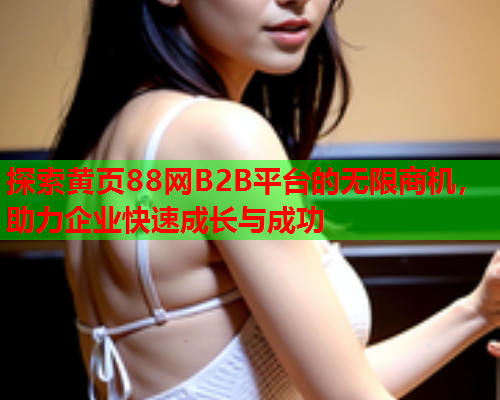 探索黄页88网B2B平台的无限商机，助力企业快速成长与成功  第1张