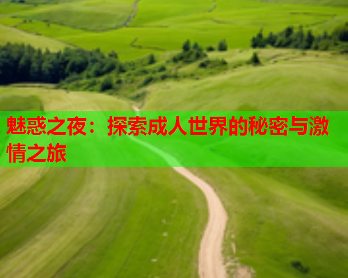 魅惑之夜：探索成人世界的秘密与激情之旅  第1张