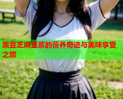 黑豆芝麻豆浆的营养奇迹与美味享受之旅  第1张