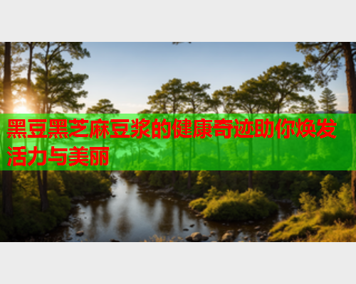 黑豆黑芝麻豆浆的健康奇迹助你焕发活力与美丽  第1张