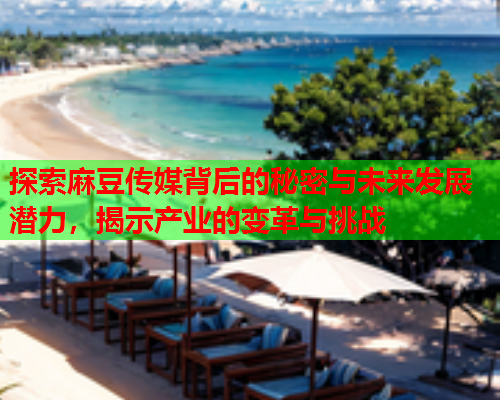 探索麻豆传媒背后的秘密与未来发展潜力，揭示产业的变革与挑战  第2张