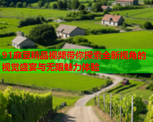 91麻豆精品视频带你探索全新视角的视觉盛宴与无限魅力体验  第1张